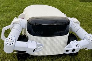 比利时公司开发Willow X户外机器人 用于帮助照料花园