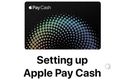 苹果店员工已经开始测试Apple Pay个人转账功能