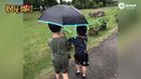 视频：胡可晒安吉雨中为小鱼儿撑伞照 兄弟俩并肩同行温馨有爱