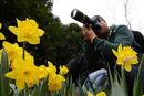 湖南植物园举办世界名花节
